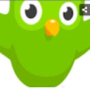 Meet your Posher, Sophia